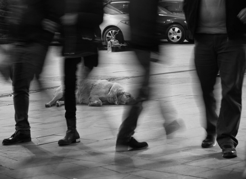 Tragiczny wypadek na Bielanach: Kierowca wjechał w pieszych, dwie ofiary śmiertelne