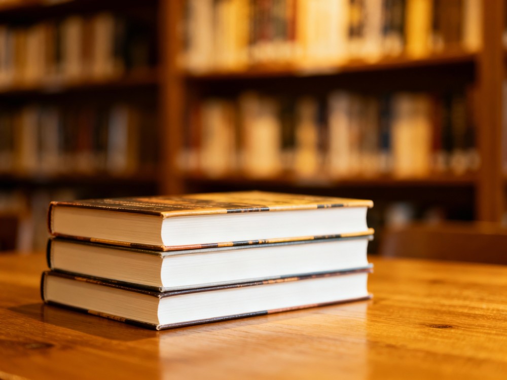 Warsztaty plastyczne i spotkania z ilustratorką w Bibliotece Zielonej